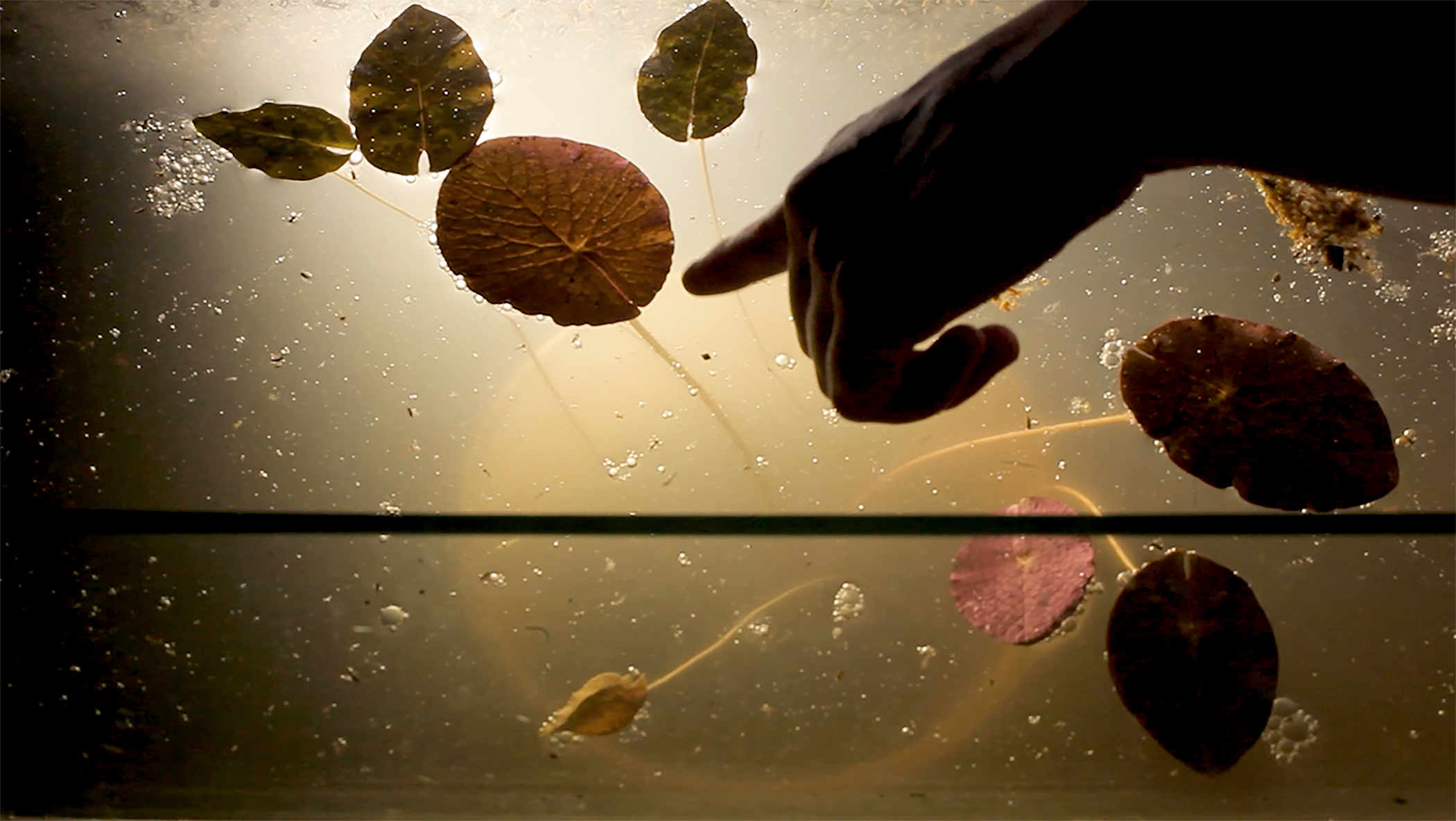 Langfilm 22Yrup22 Von Candela Sotos