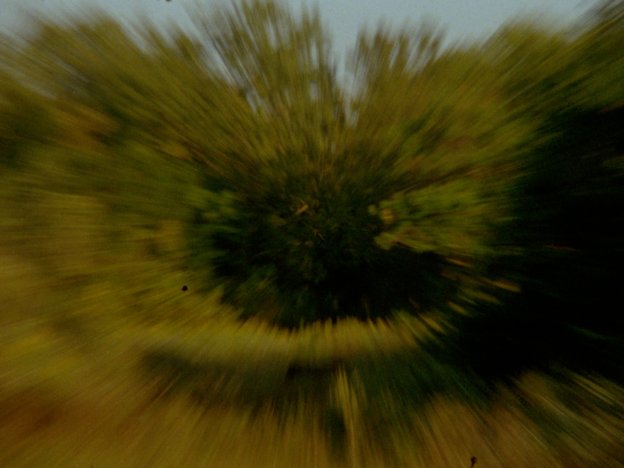 Filmprogramm Suspicions About The Hidden Realities Of Air Sam Drake US 2025 9